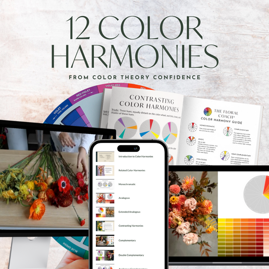 12 Color Harmonies for Creative and Confident Stem Selection